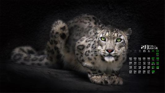 正规ps培训课程,ps培训平台