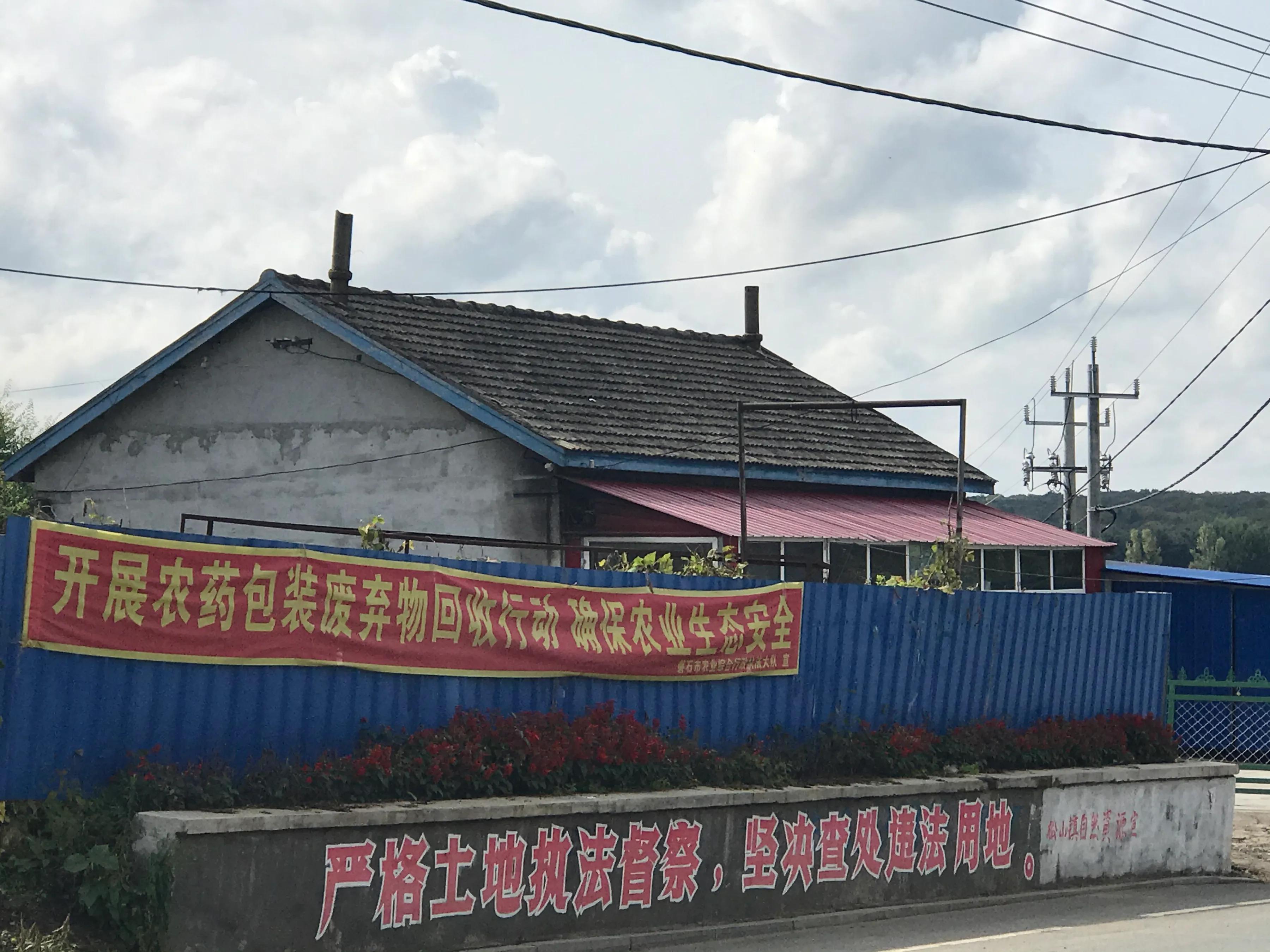 长白山脚下美丽的松山镇，因千岁的红豆杉而闻名