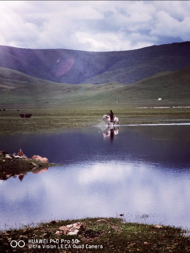 一条绝美草原之路,一条绝美的自驾公路