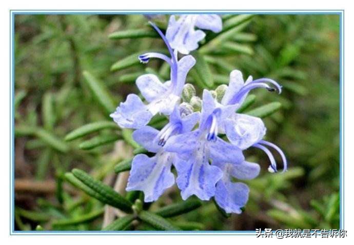 收缩毛孔水,收缩毛孔的护肤水