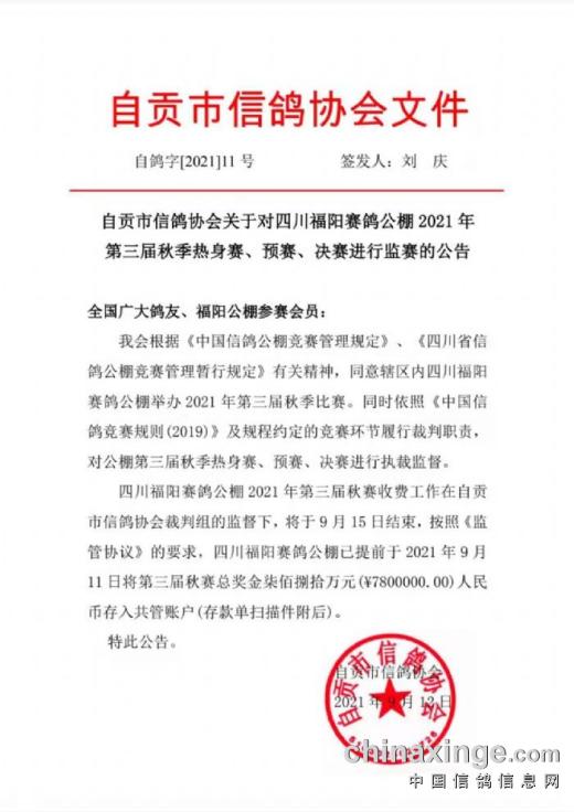 赛鸽公棚深度分析,赛鸽公棚是靠什么赚钱