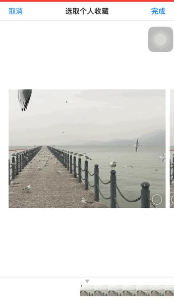 iphone手机拍照操作指南,iphone手机拍照技巧教程