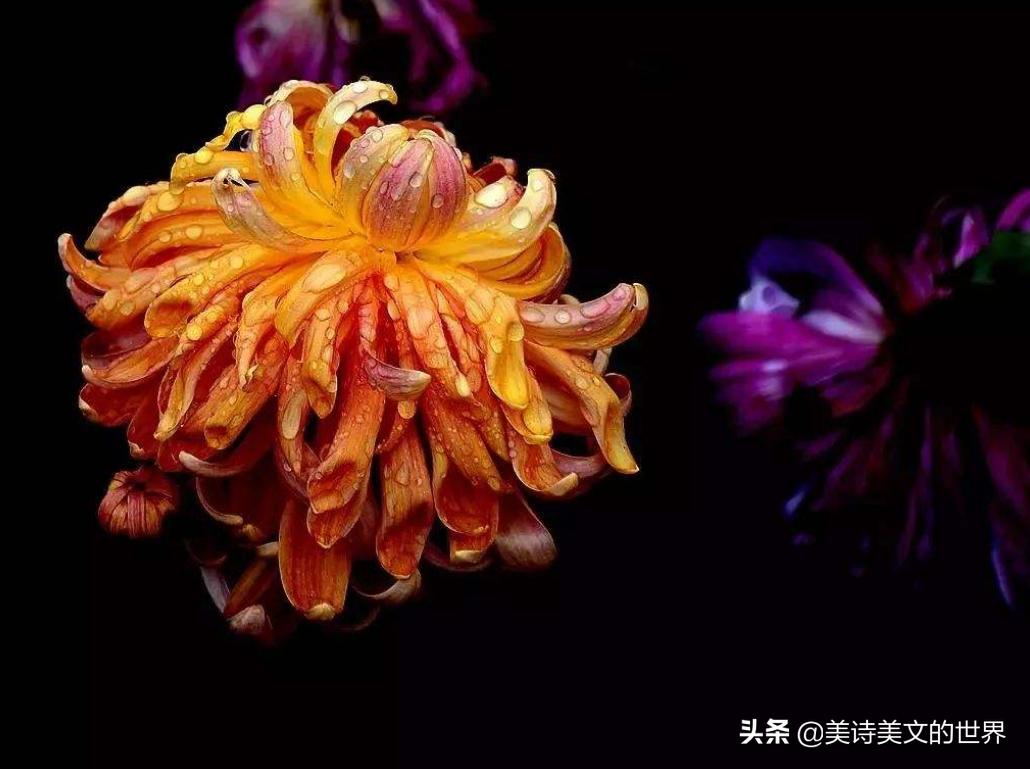 迷惘时读苏轼10句话陪你度过艰难,人生艰难时刻苏轼9句话