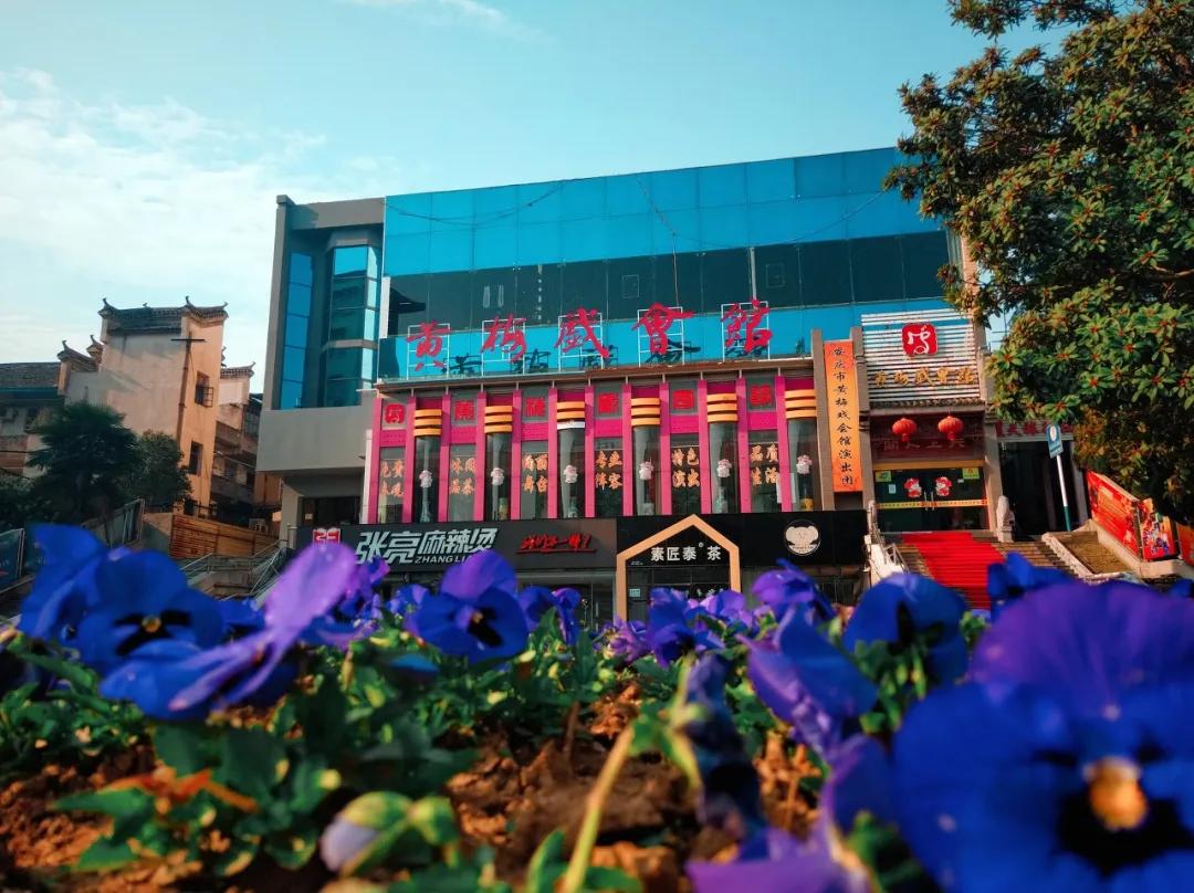 citywalk最受欢迎的旅游方式,citywalk自由行