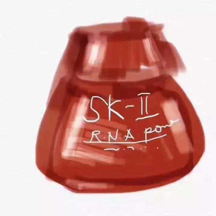 2019年电商法代购,电商法问世的背后