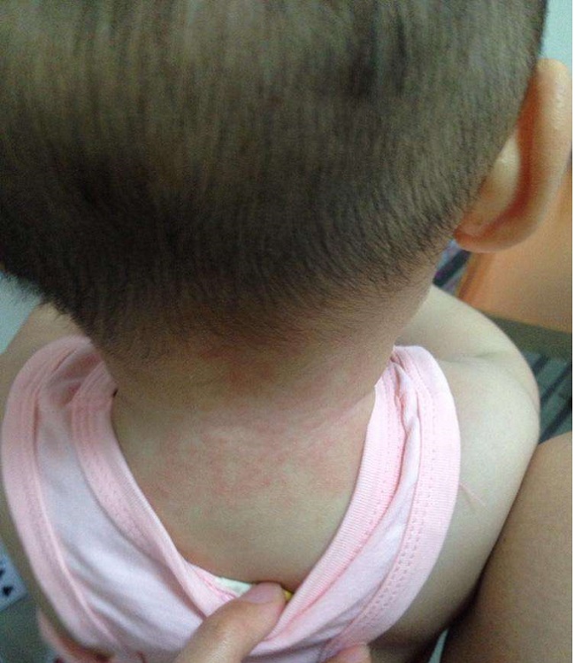 6个月宝宝没奶了吃什么,6个月宝宝没有母乳吃什么奶粉