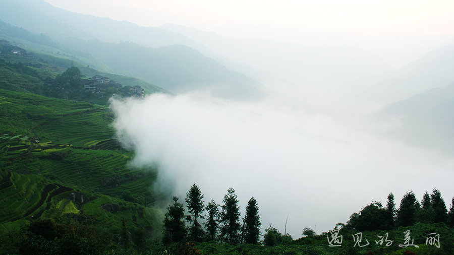 龙脊梯田风景区被破坏过吗,桂林龙脊梯田最全攻略