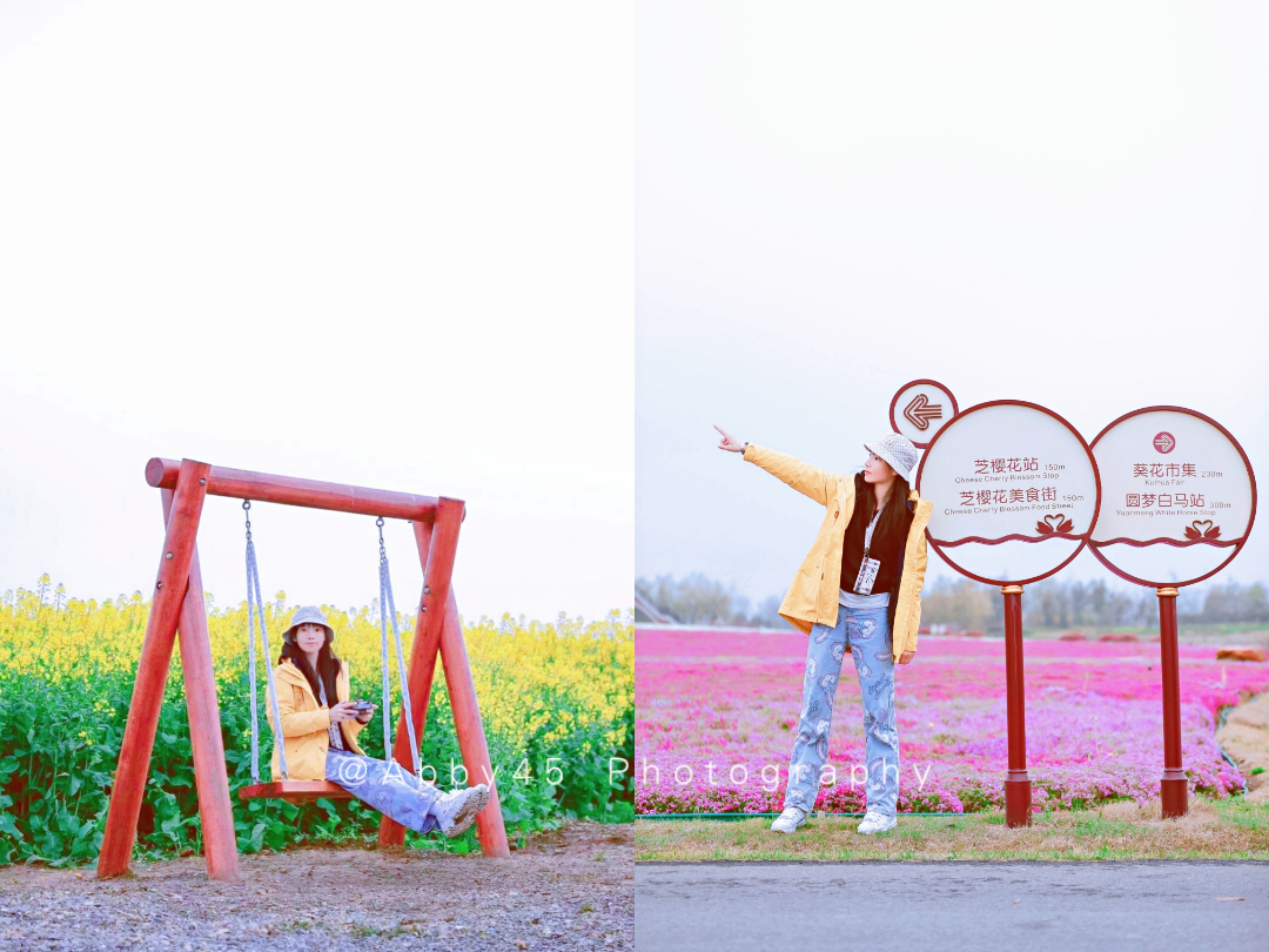 淮安四季花海,五一避开人群小众旅游地