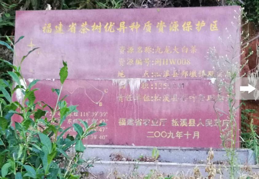 茶中状元大红袍你了解吗,茶中之王武夷大红袍你了解吗