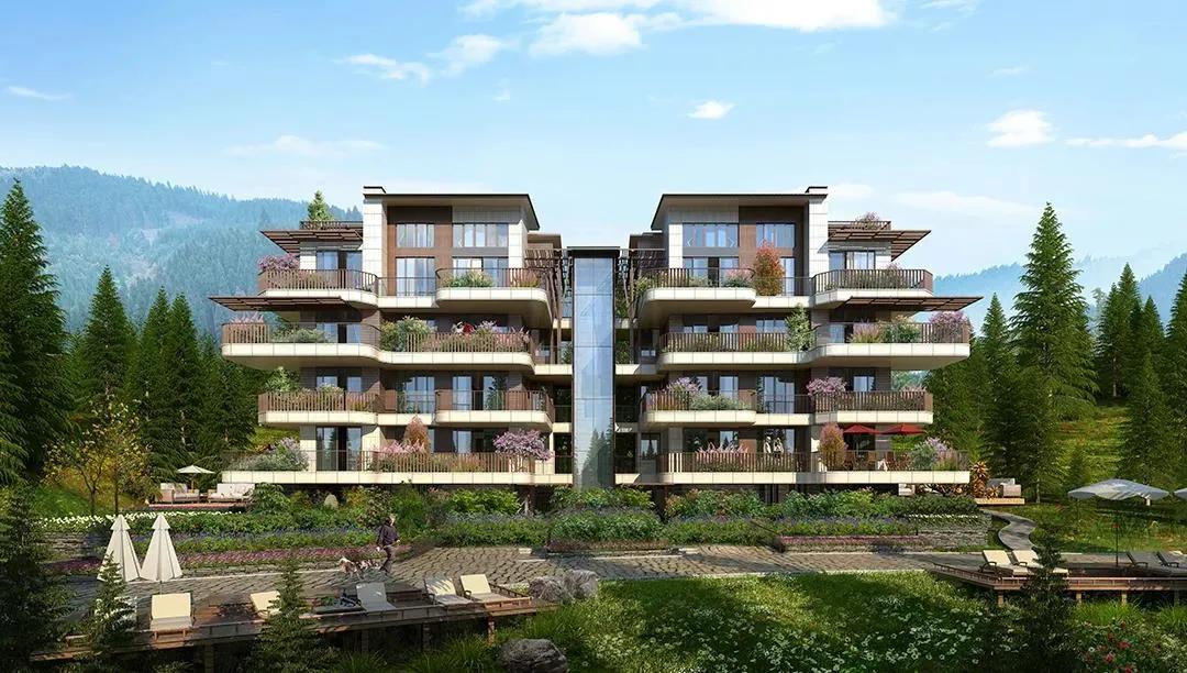 生活与态度,生活态度与健康