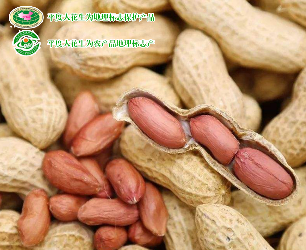 青岛特产十二道海味,青岛特产必买清单排行榜第一名