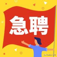 急聘湛江人才,湛江市急聘职位