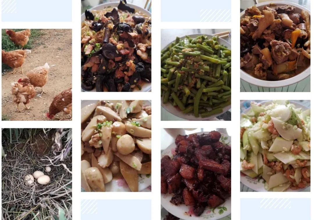 济南申请加入“大乱斗”！@理塘丁真，你的珍珠……泉在这里！