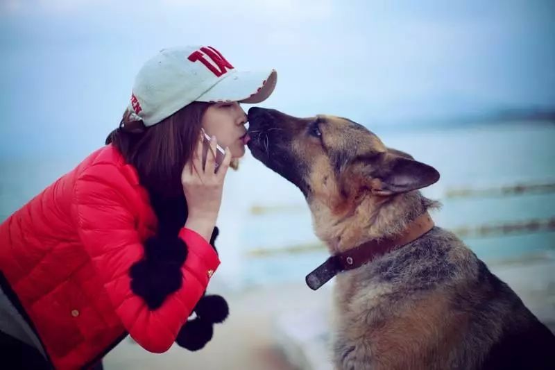 狗狗为什么不喜欢主人亲它嘴,狗狗能看懂主人的亲昵行为吗