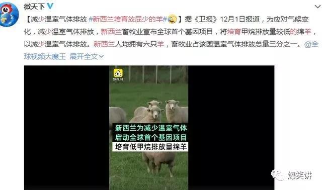 沙雕动画笑死合集,2019年沙雕新闻大合集