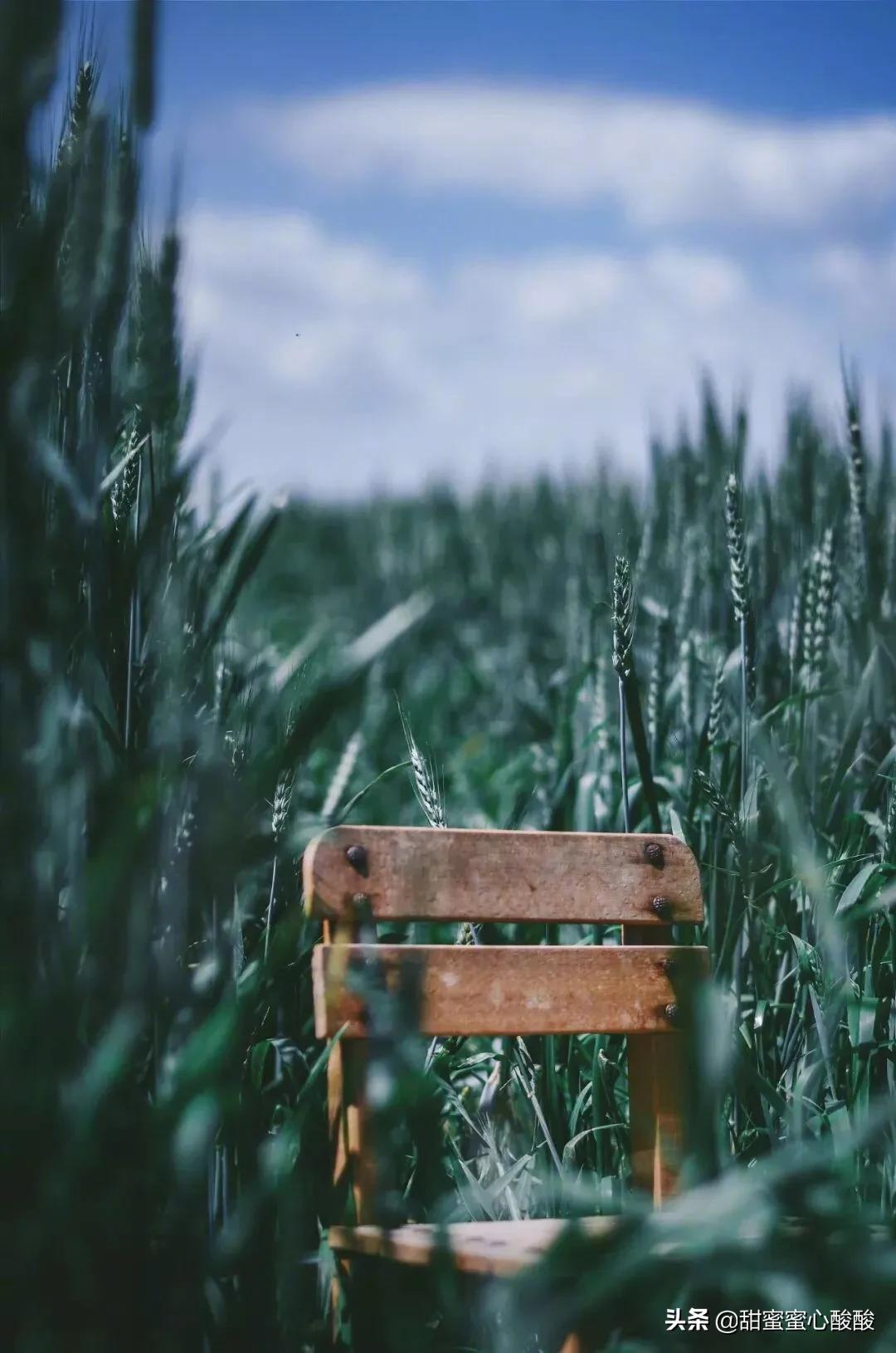 总以为来日方长却忘了世事无常,来日方长却忘了世事无常的意思