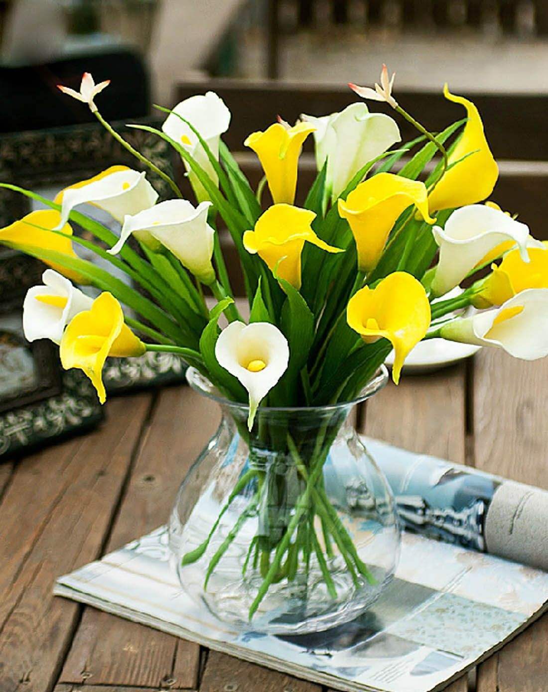 马蹄莲开花的原因,马蹄莲开花有什么寓意