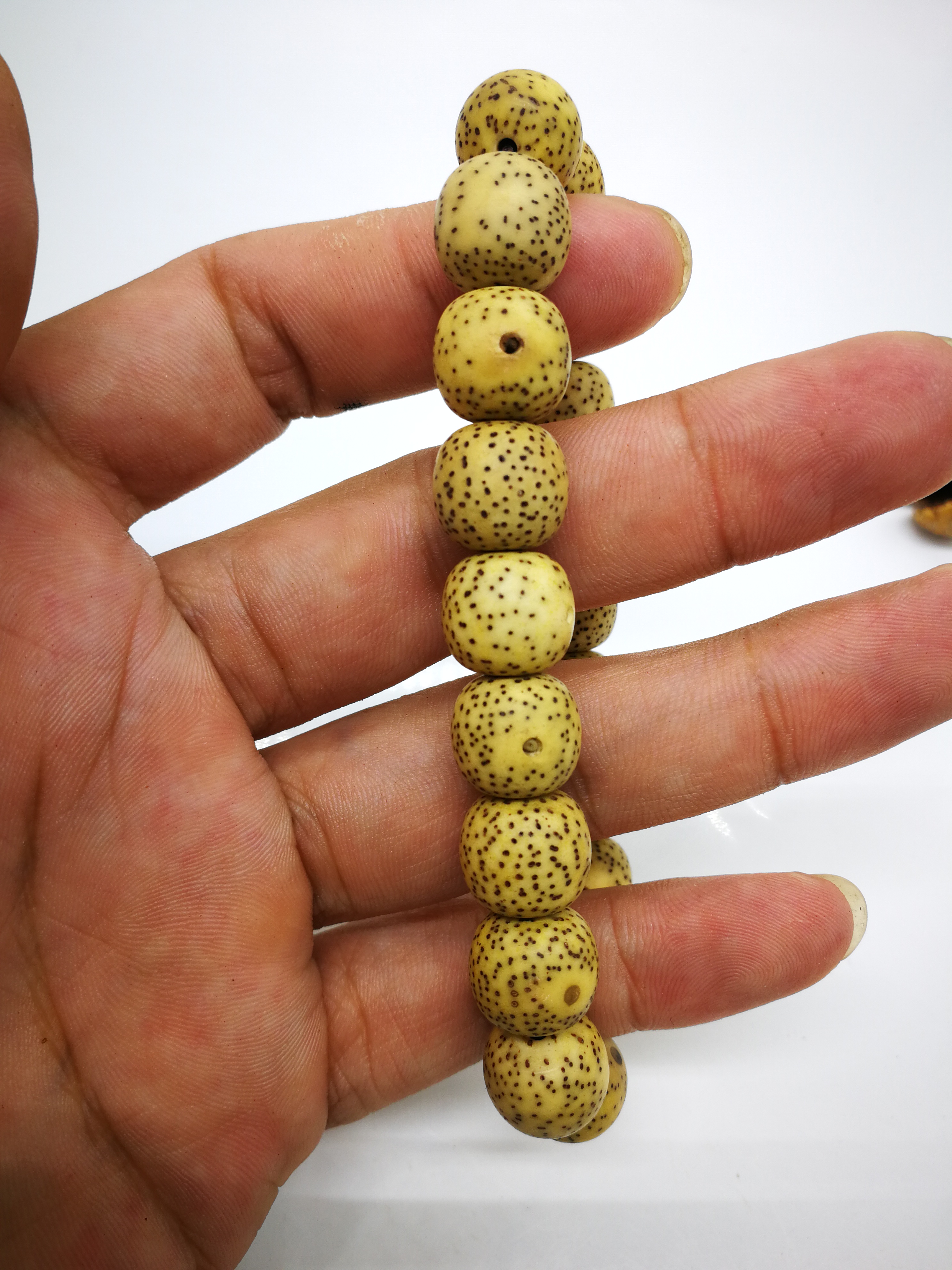 星月菩提子怎么盘出鸡油黄,星月菩提子怎么盘玩