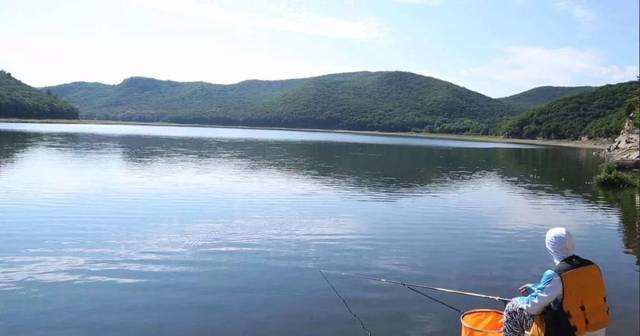 野钓调半水,半水调漂完整版视频