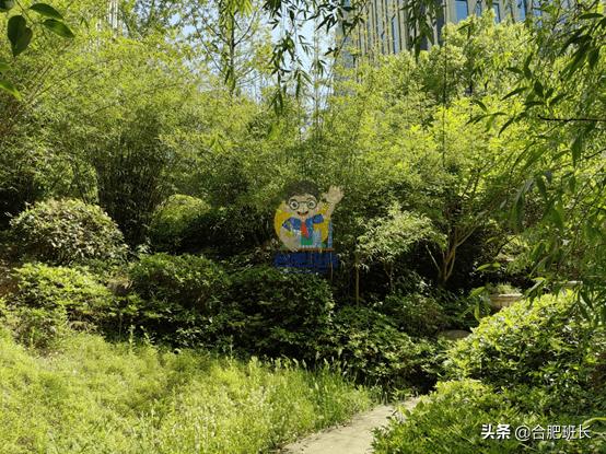 滨湖省府板块高速,实探滨湖区省府中轴禹洲绿城兰园