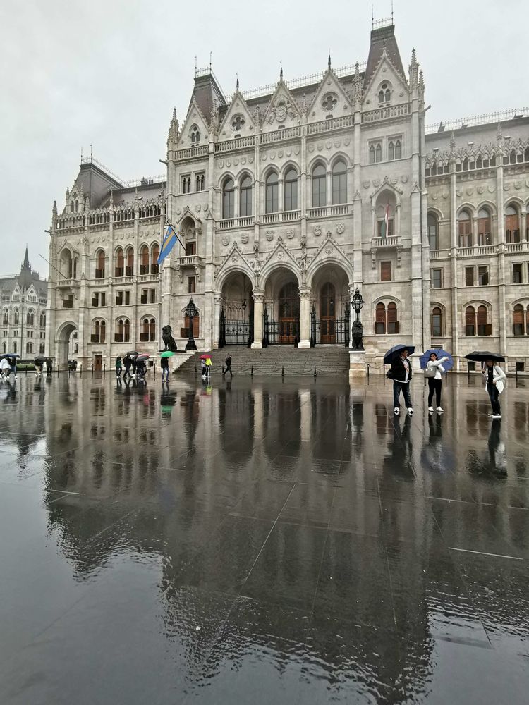 匈牙利的首都,当年陈强曾到此,两个儿子取名“布达”“佩斯”