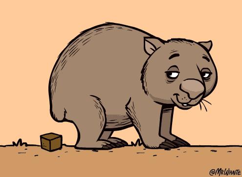 冷知识第二季结局,冷知识第二季完整