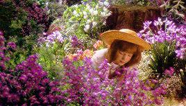 水彩绣球花教程,水彩画绣球花教学