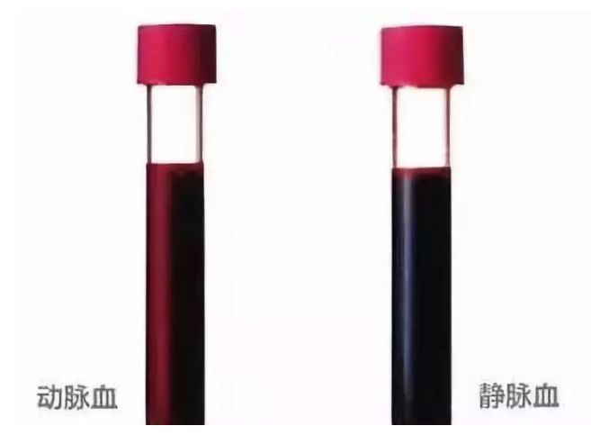 盘点全网那些惊掉下巴的神操作,让人惊掉下巴的神奇的操作