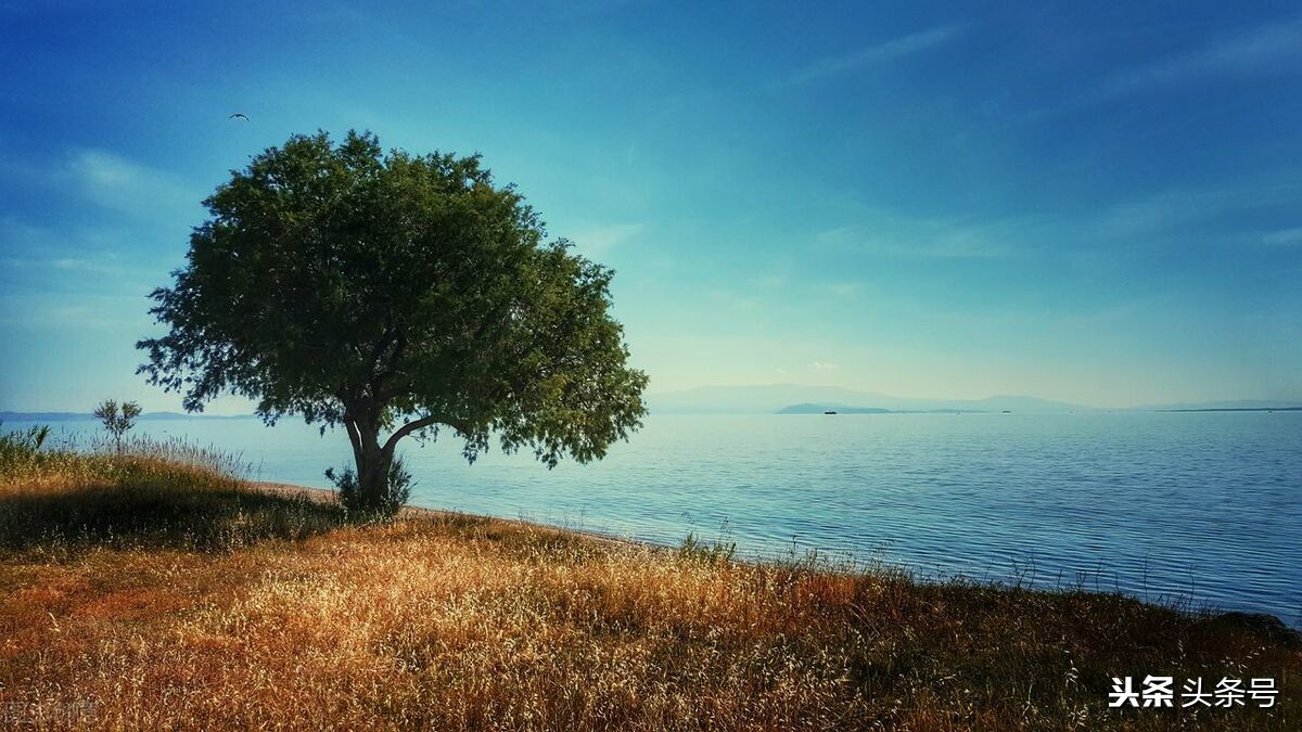 牛郎织女的故事简短300字,牛郎织女的故事