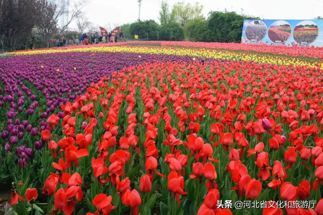 爱家乡游河北发现身边的美|披着初夏的清风，踏着热闹的浪，在五月的秦皇岛玩出新花样~