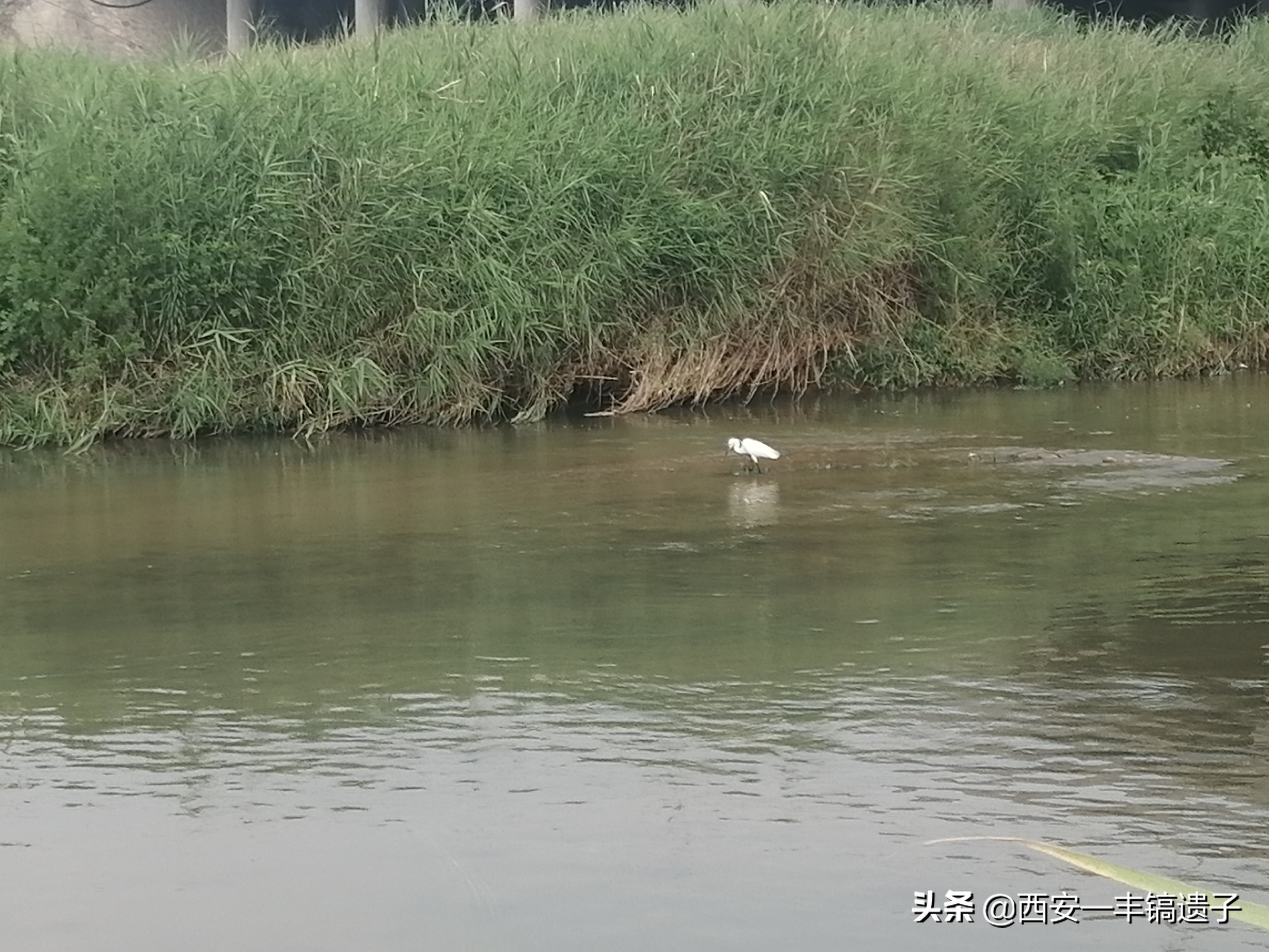 灞浐风烟函谷路解析,灞浐风烟函谷路什么意思