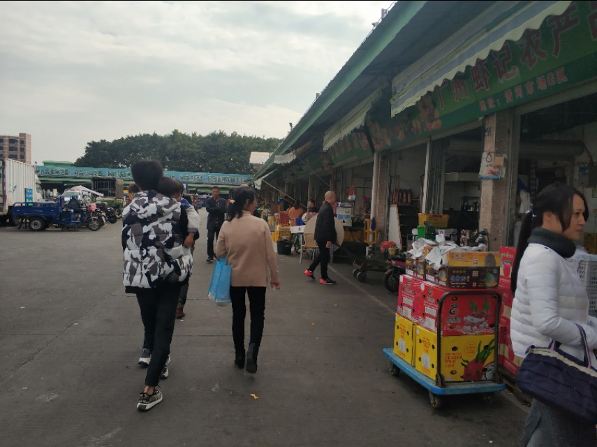 广州最大的家具城批发市场在哪里,广州最大的二手车批发市场在哪里