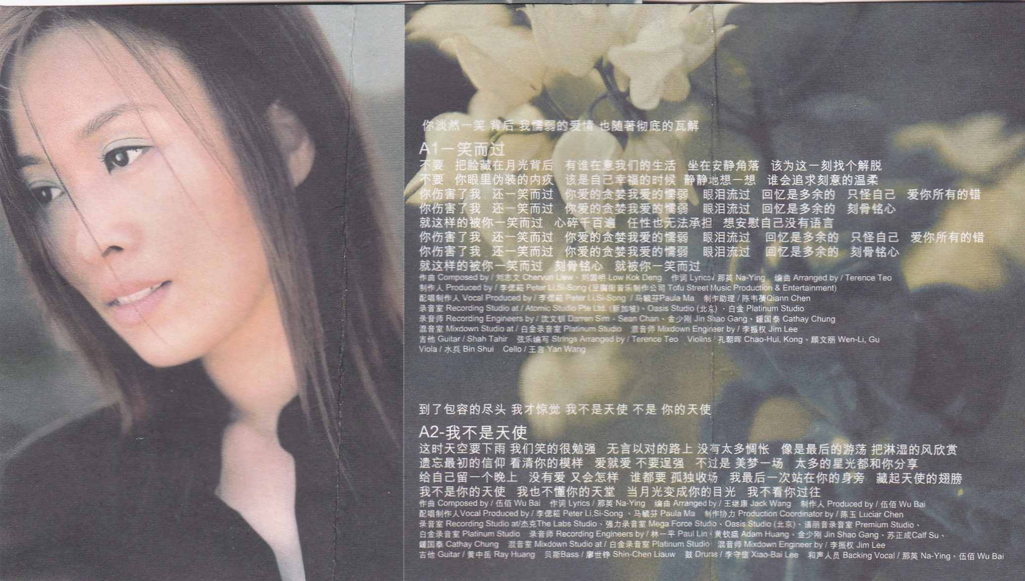 那英我不是天使图片,怀旧经典老歌那英天籁之音