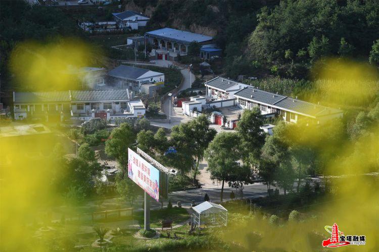 鍔涢噺2022,鍔涢噺2020