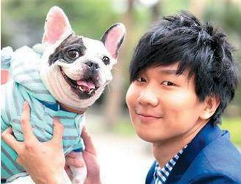 法国斗牛犬能成为“网红狗”，除价格贵之外，这些优点也是很亮眼