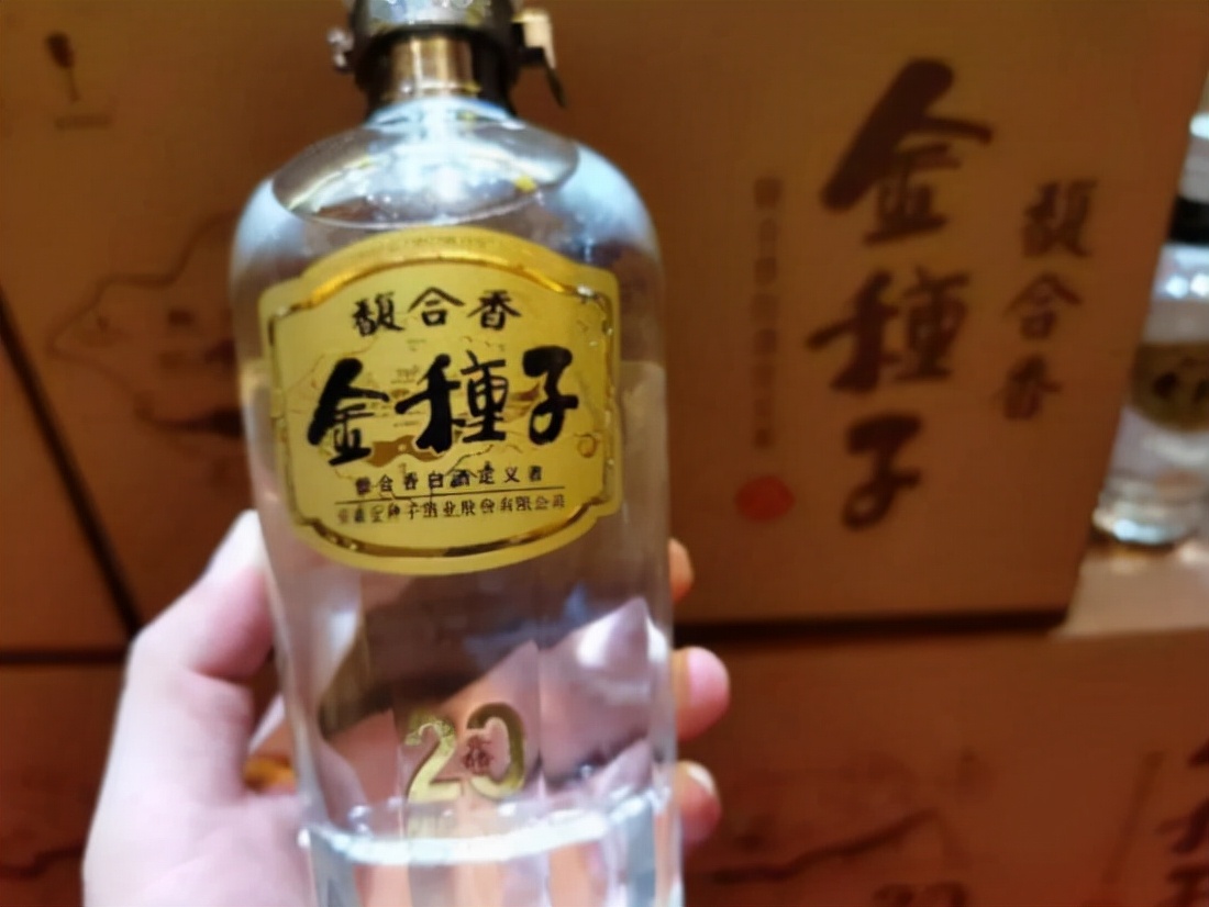 金种子酒最近怎么了,金种子酒发展遇到什么困难