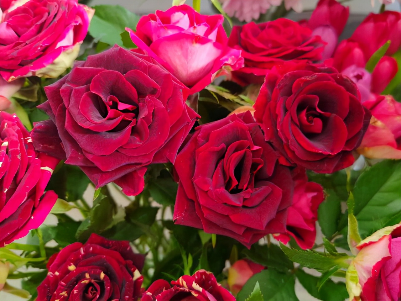 别着急属于你的东西早晚会来,属于你的缘分终究会到来