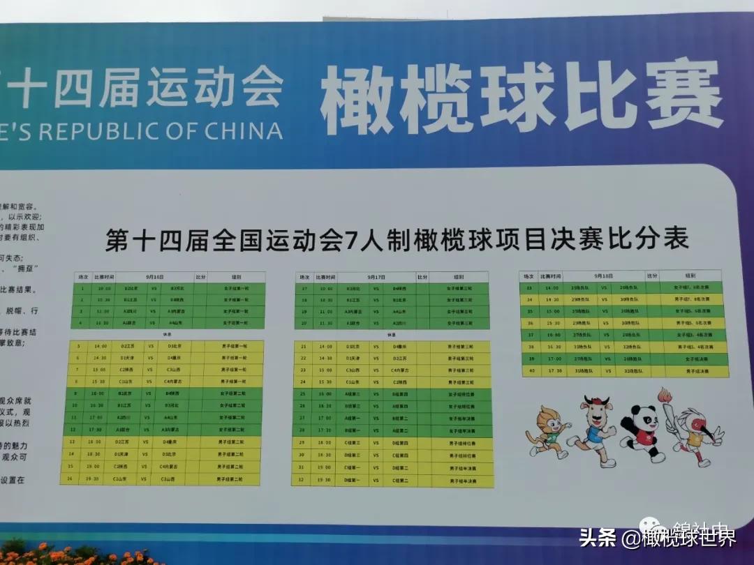 我与全运会的故事,我和校运会的故事作文