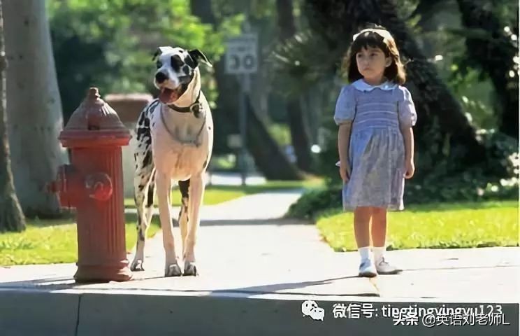 30部必看的电视剧英语,练口语的英文电影