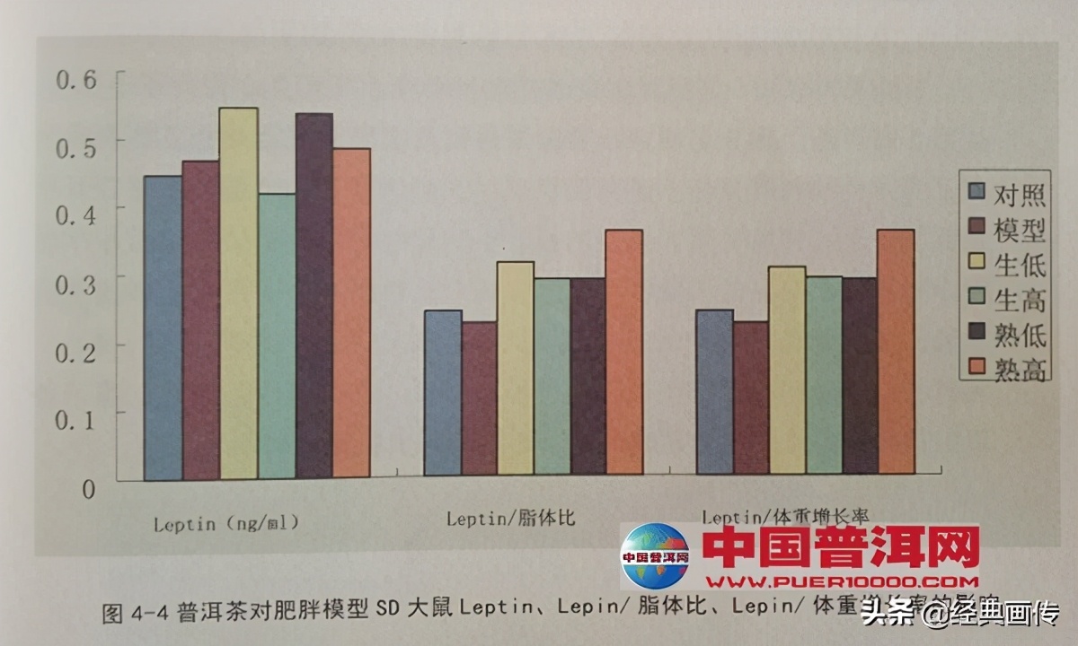 苹果普洱茶能减肥吗,普洱茶可以减肥降压