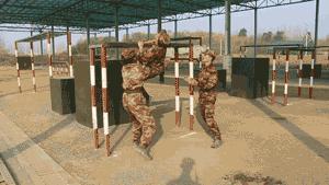 障碍训练视频,连续障碍物训练方法