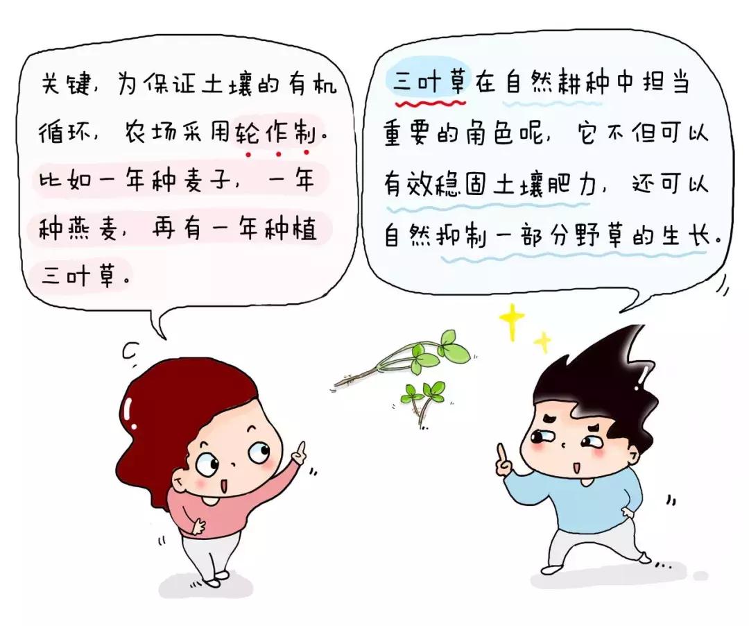 做对这一件事,小白妈妈也能选出优质口粮