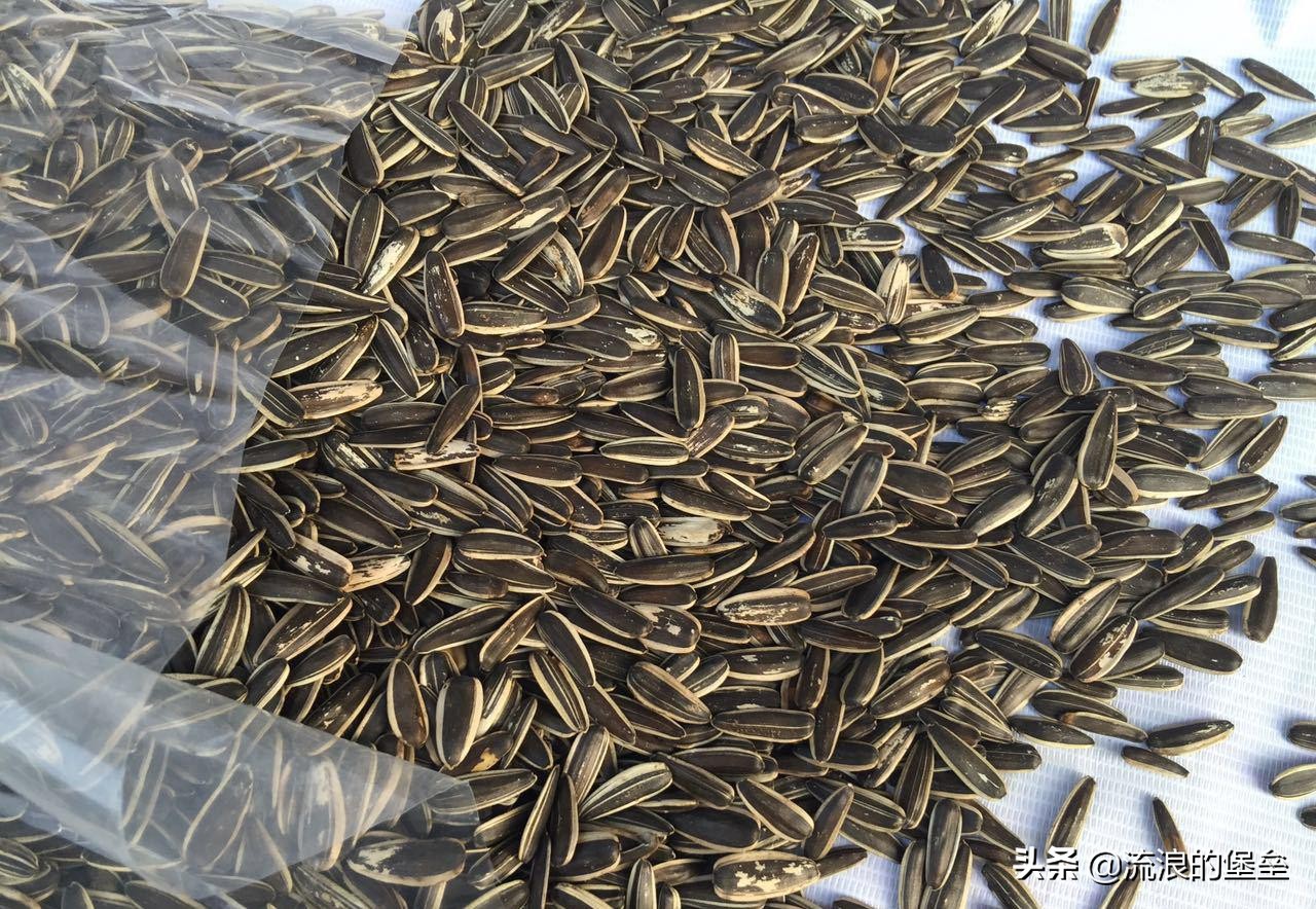 冬天那么冷，东北人“猫冬”坐炕头吃啥？杀猪菜只是冰山一角？