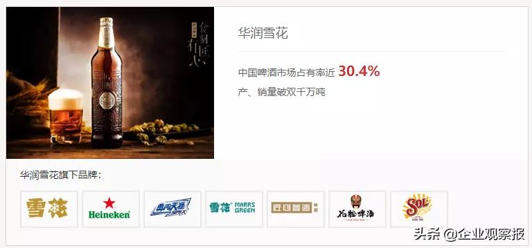 宁高宁年轻采访,宁高宁资料