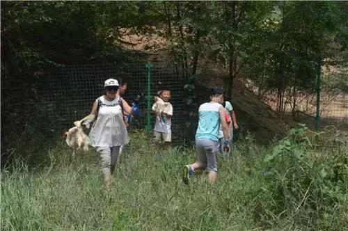 第13期·三年级作文《买书的经历》:香港迪士尼的图书馆