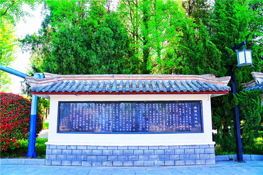 我和宿州有个约会，一场花事，一次慢旅行，探寻最烟火的宿州味道