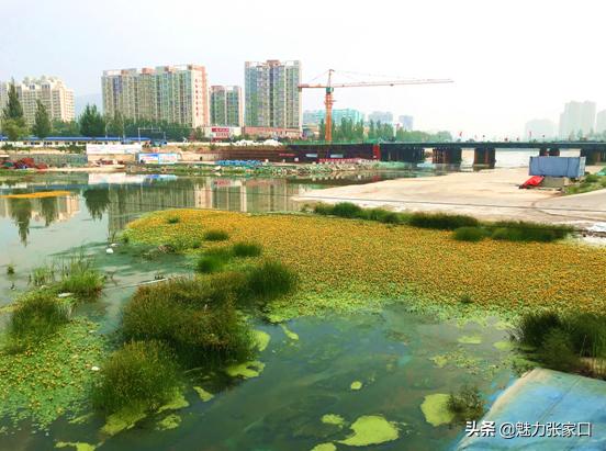 均价9000元/㎡!经开千亩大盘!比肩新一中!金九银十买房送车位