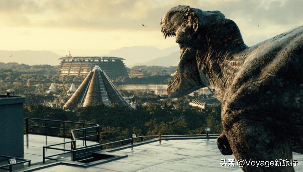 2021年的游乐园，你是期待悬崖边上的跷跷板还是一整年的生日趴？