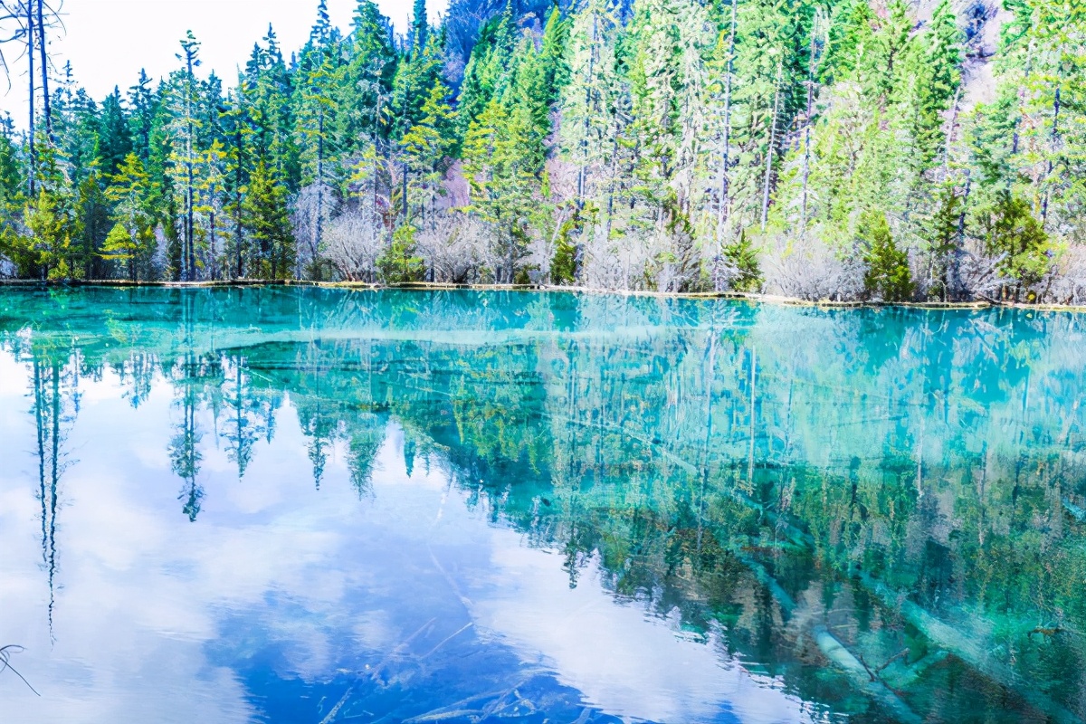 九寨沟最美的一处景点,九寨沟风景区好山好水好风光