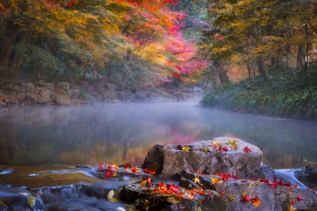 打卡新白娘子传奇杭州取景地,三月杭州打卡景点